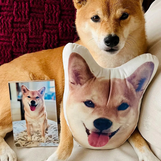 Shiba pillow pet online